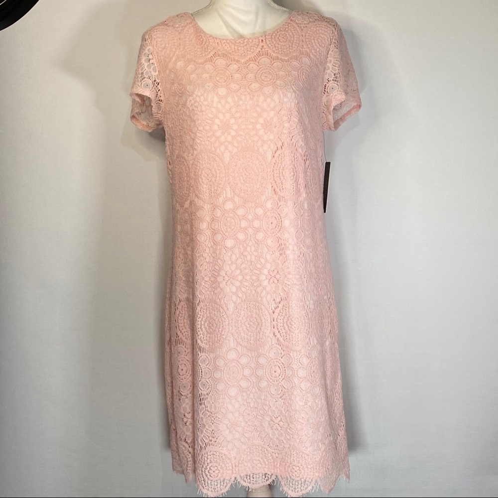 Laundry Soft Blush Lace Overlay Shift Midi Dress